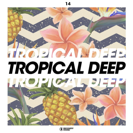 VA   Tropical Deep Vol. 14 (2020)