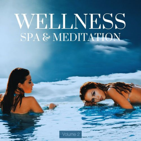 VA - Wellness, Spa & Meditation Vol.2 (2022)