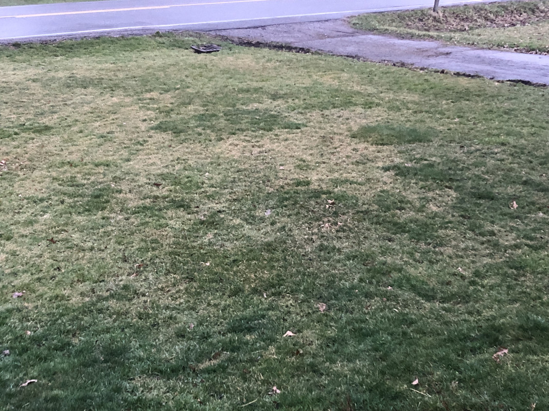 1939731B-5213-47C4-99AB-8AAB78957A32