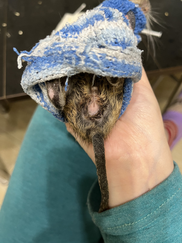 9E24F7C0-976D-47E7-A4B5-75C2DF7C8F55