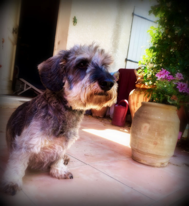 [Image: unnamed.jpg]