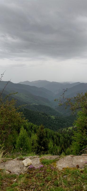 IMG_20190609_144622.jpg.1