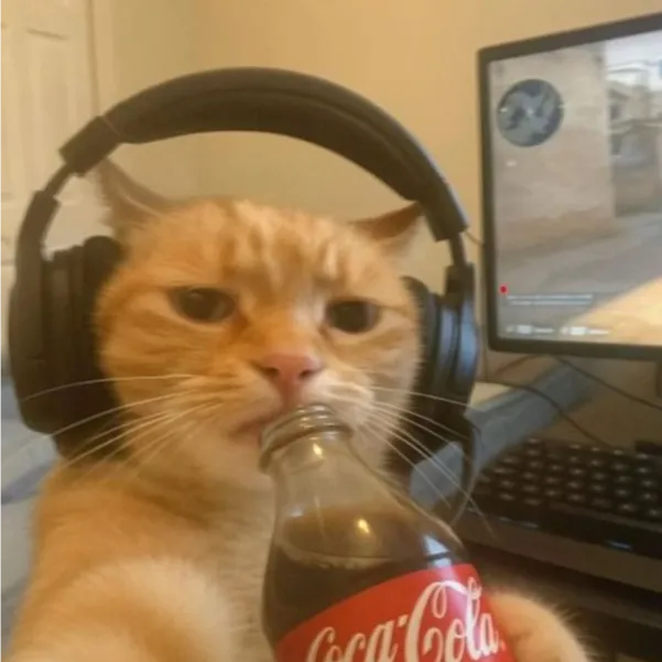 Lazy Coder - Full Stack Developer
