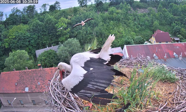 Przechwytywanie w trybie pełnoekranowym 08.06.2025 194134