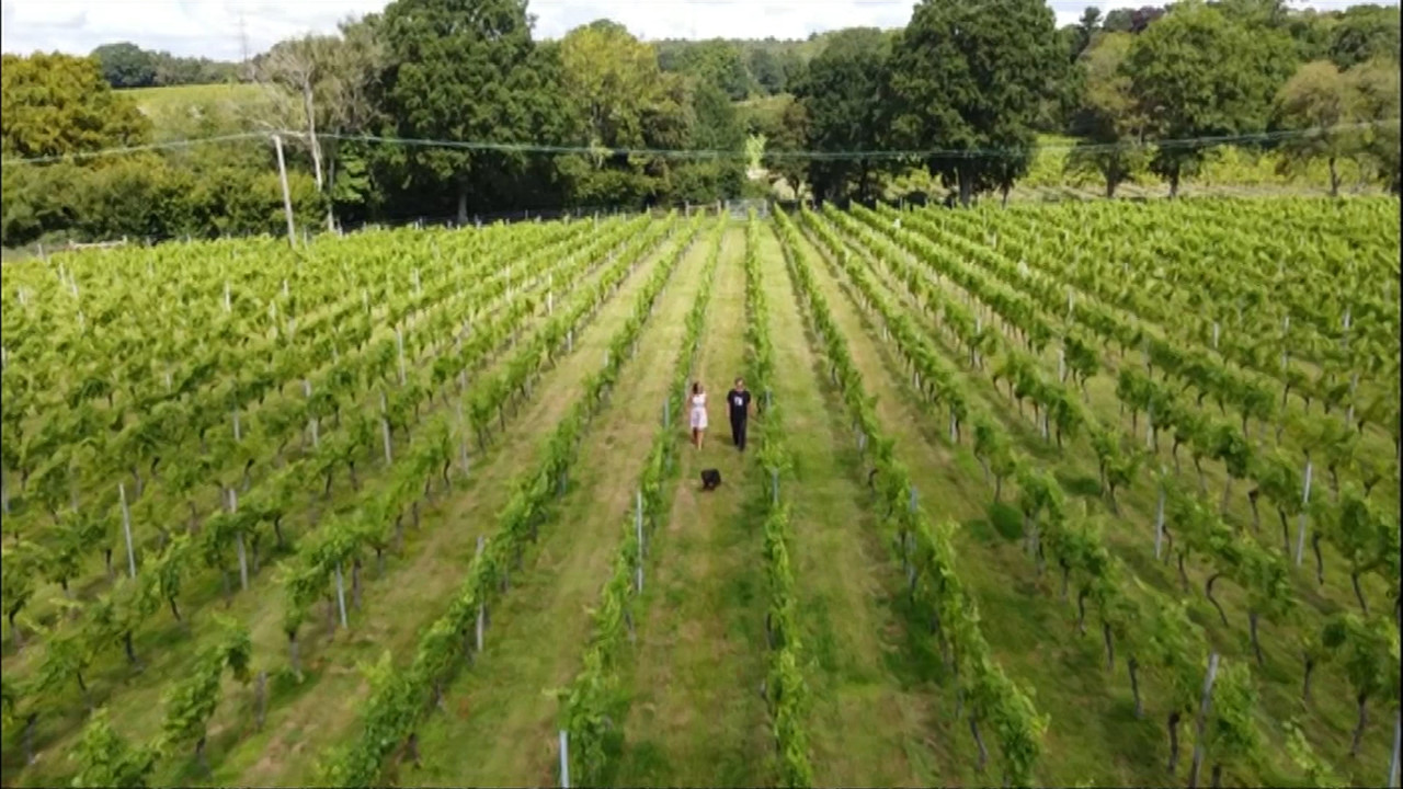 08 16 18 30 01 South East Today Weather South East Today Weath Ts 08-16-18-30-01-south-east-today-weather-south-east-today-weath-ts