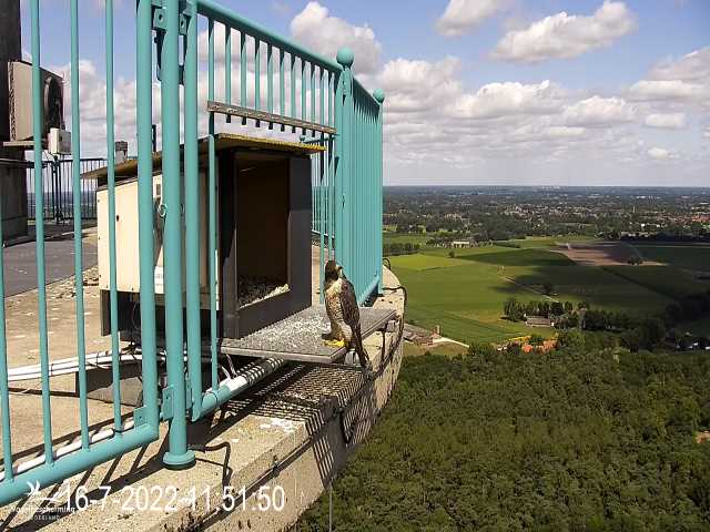 campics © VWGGemert vanaf 1 juli 2022 - Pagina 6 1