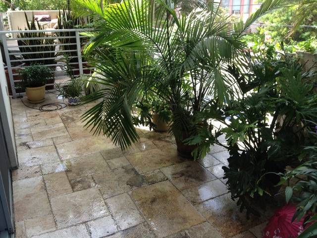 Our Garden 001