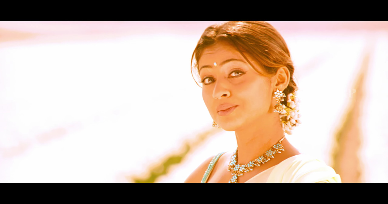 VideoCapture_20241122-195611