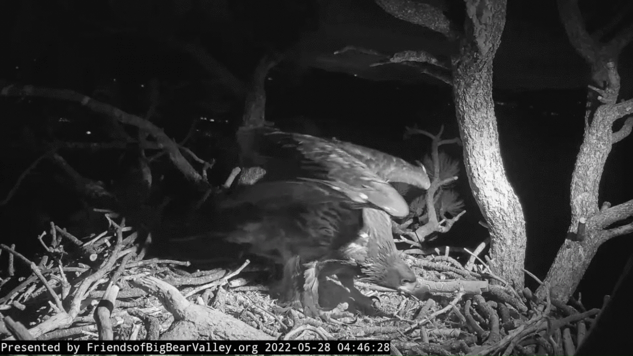 Webp.net-gifmaker (3)