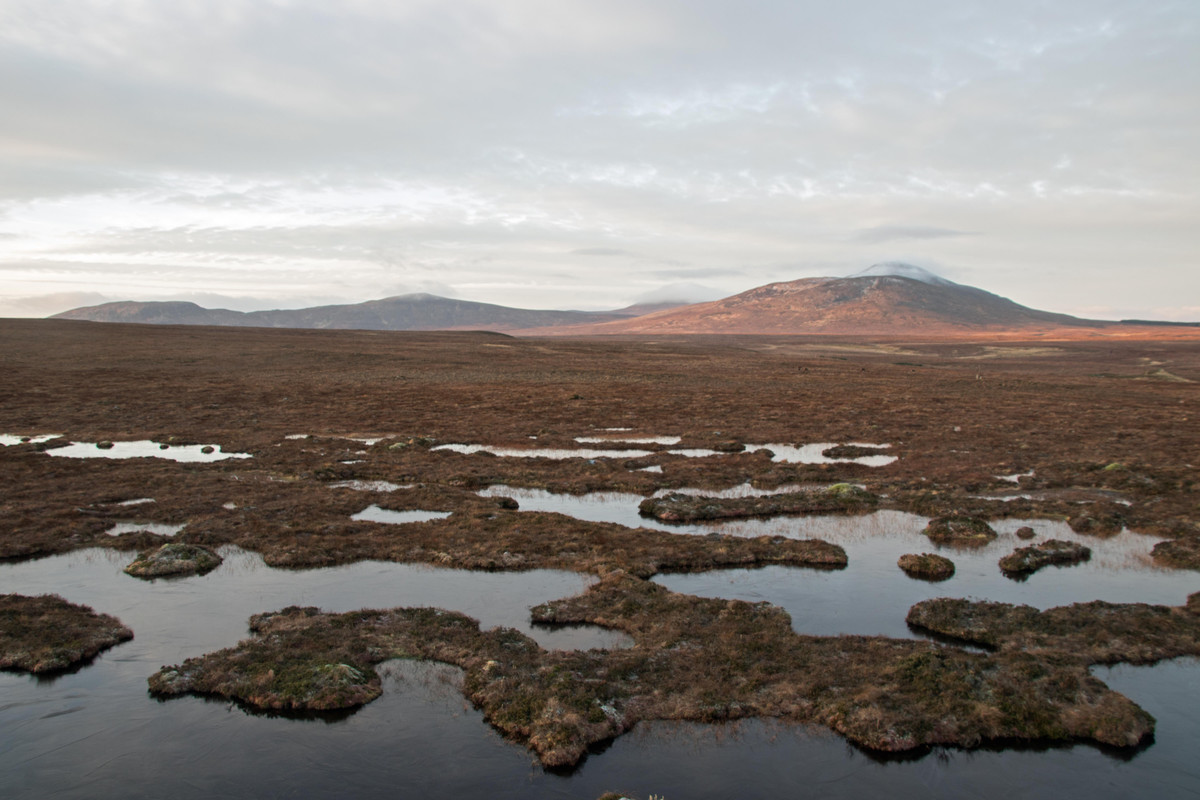 IMG-5658-Dubh-lochans.jpg