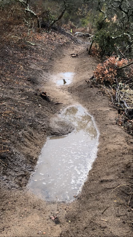 ECF210F4-163D-4C92-9B45-21330542C1CC