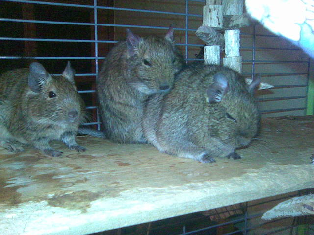 Image068