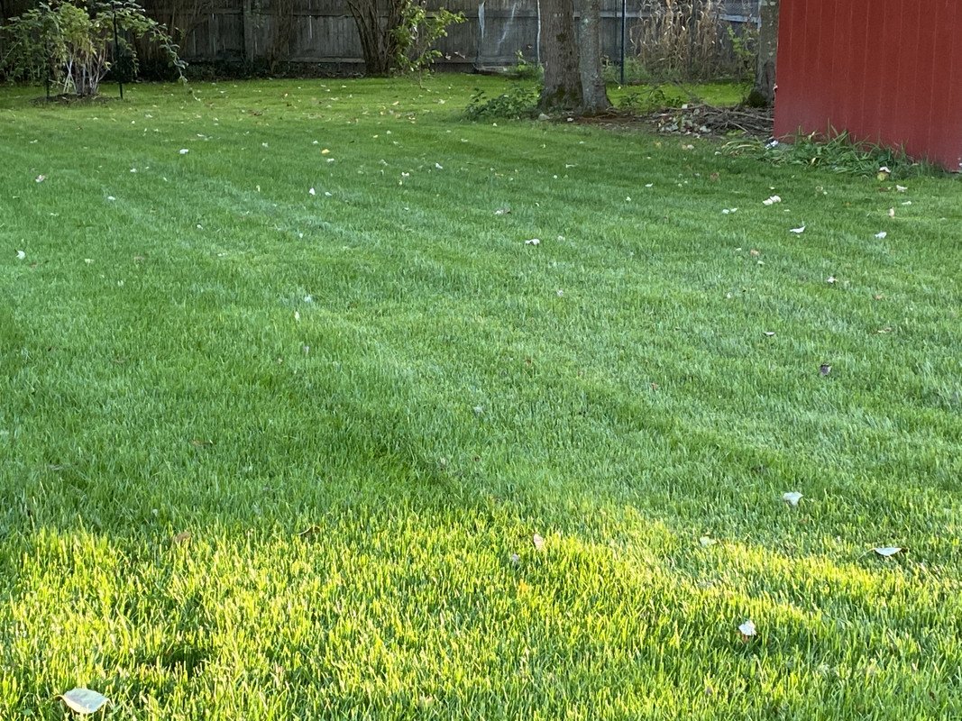 05BFE583-BA5D-4ACF-8F26-BB30EFAA5D89