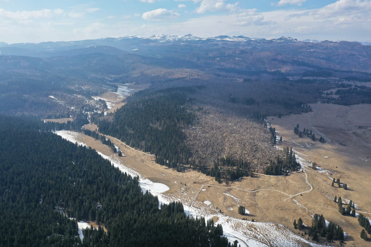 IMG-20190325-WA0003
