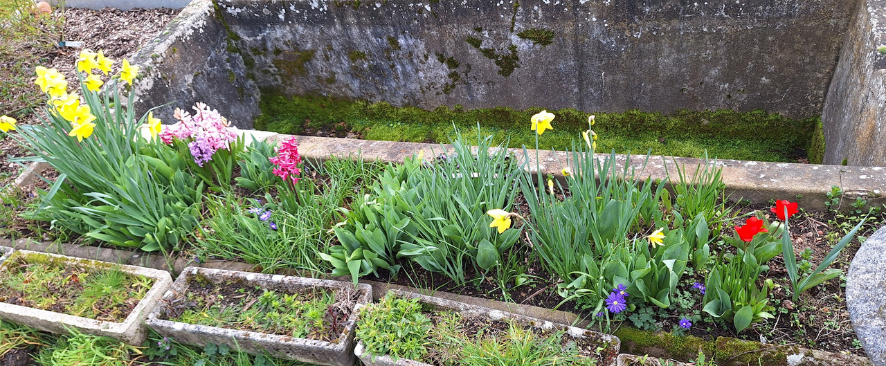 [Image: 20240310-153517.jpg]