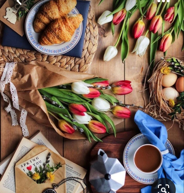 Screenshot_20230409_211952_Pinterest