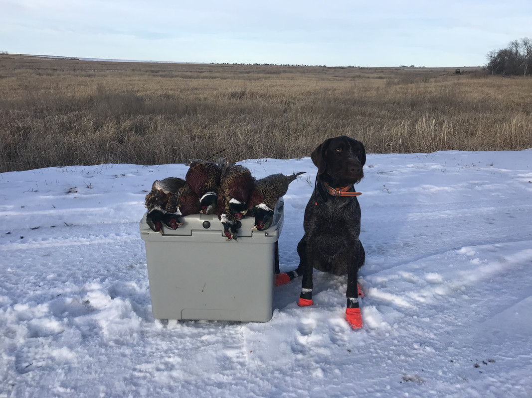 F279523C-01DA-4956-BA89-0FB6018D7011