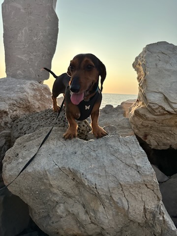 [Image: IMG-20240402-122703.jpg]