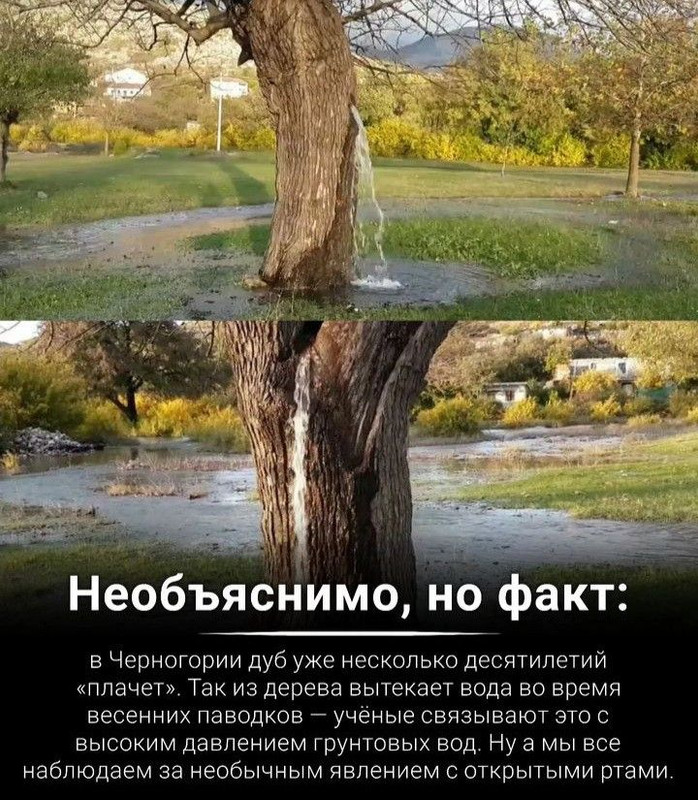 Без названия (1)