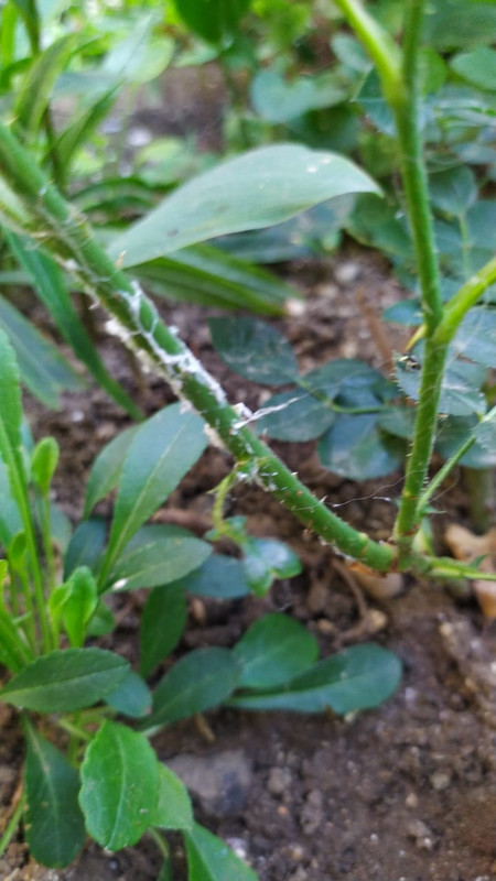 B15DBE64-63E1-471E-A8B8-EBB33BECCA41