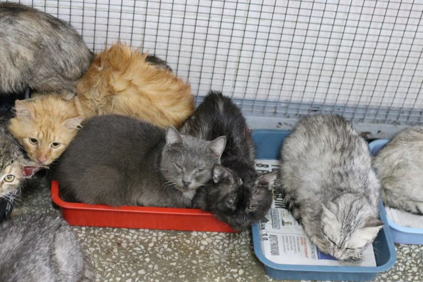 85899046-C86D-419F-A889-861FF9B359DE