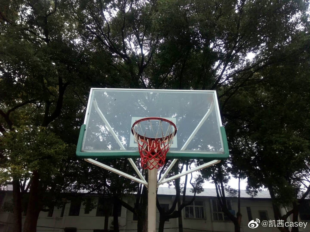 BB7A443C-9674-4E98-ACB5-C22C4061E459