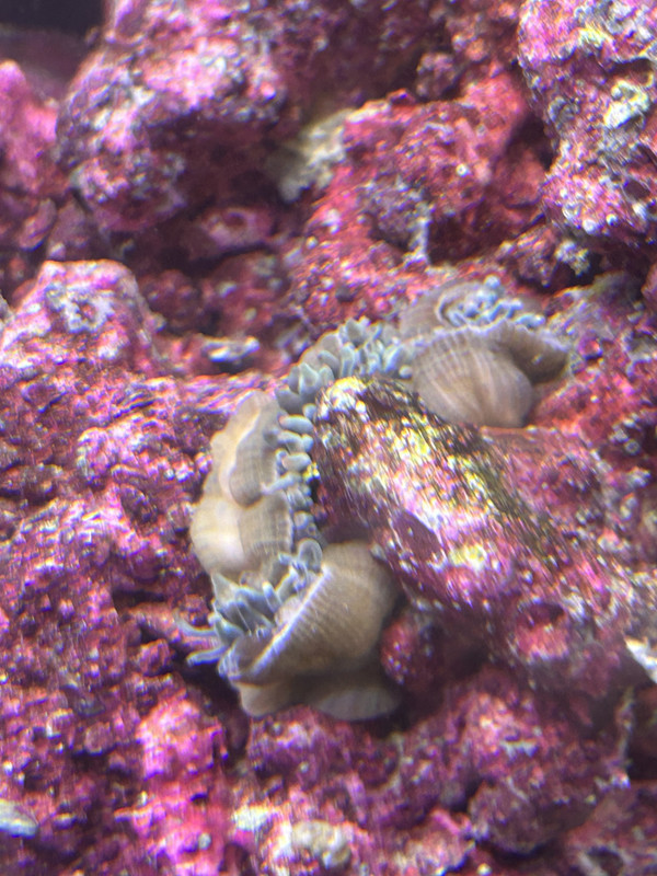 E57011DC-85F4-4A99-B029-3C71E623F542