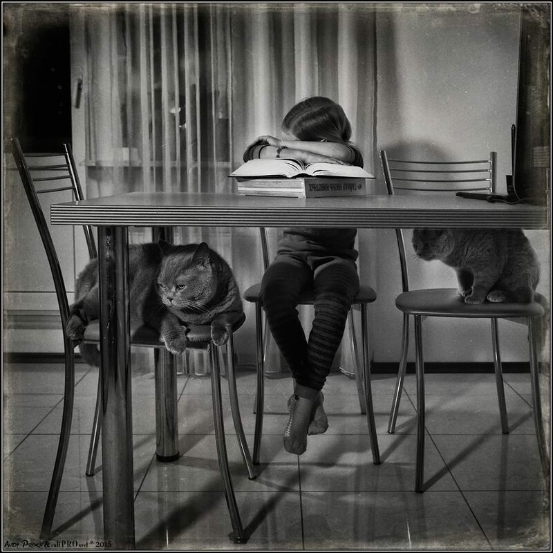 10919031-778220868910673-8093667873056606552-n