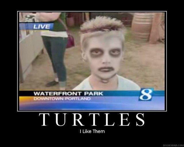 [Image: turtles1.jpg]
