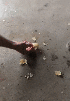 gifs-22.gif