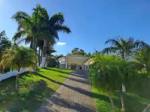 Atividades terapêuticas ocupacionais