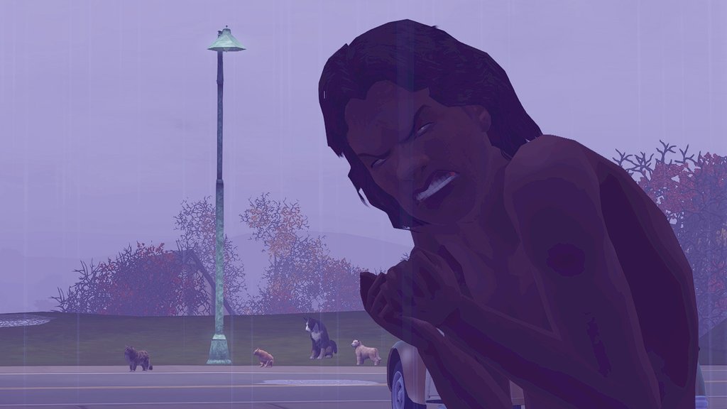 TS3-W-2025-01-13-03-29-09.jpg