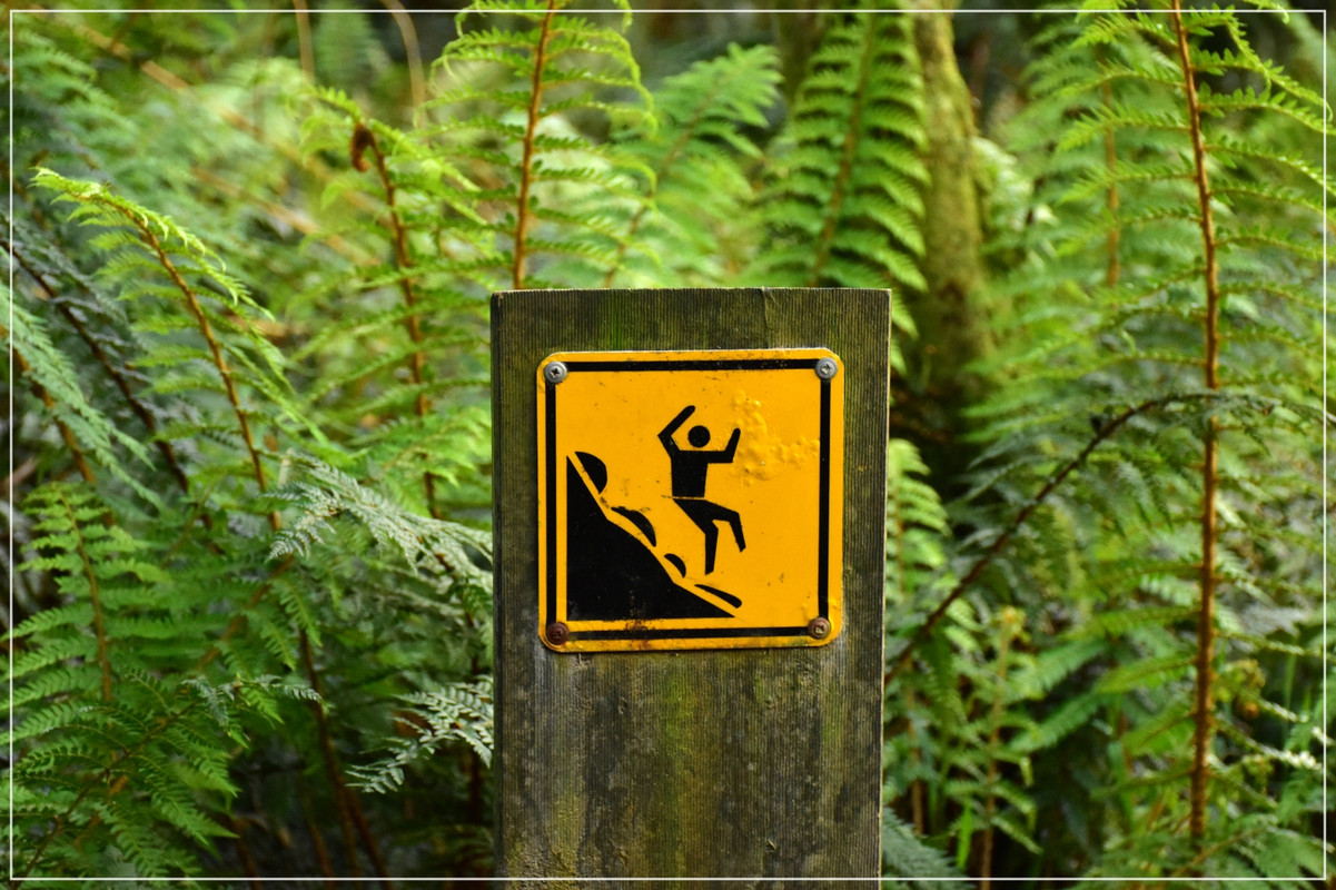 Great Ocean Road - Australia (I): toma de contacto (30)