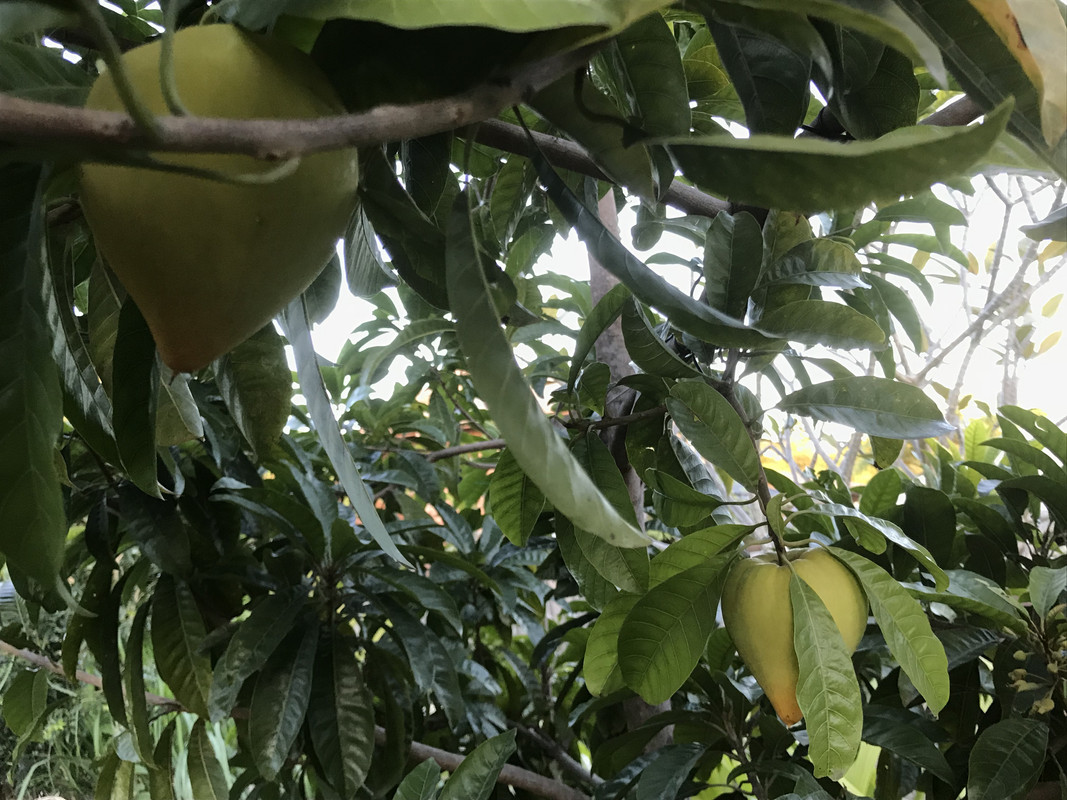 DB4ECFBD-E799-45E4-AE50-CE59A52D8F9B