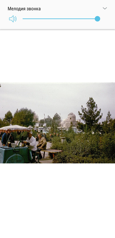 Screenshot_20200331-190448_Firefox