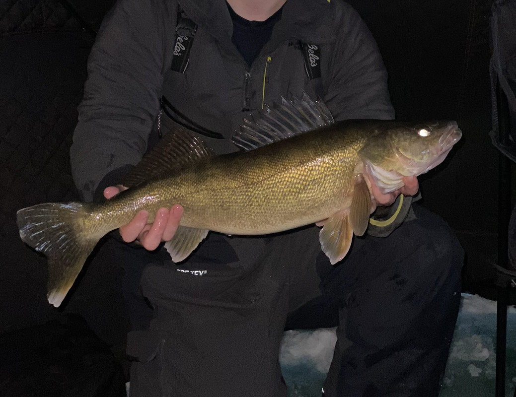 6766B672-03FF-42E7-9689-CA1666A82B0F