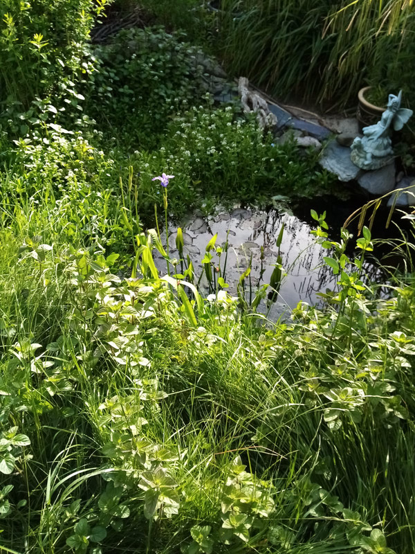 WhatsApp Image 2020-05-26 at 21.46.06