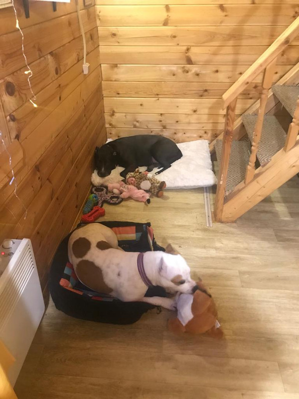 57DA425C-5897-405C-9018-002C8758AF25