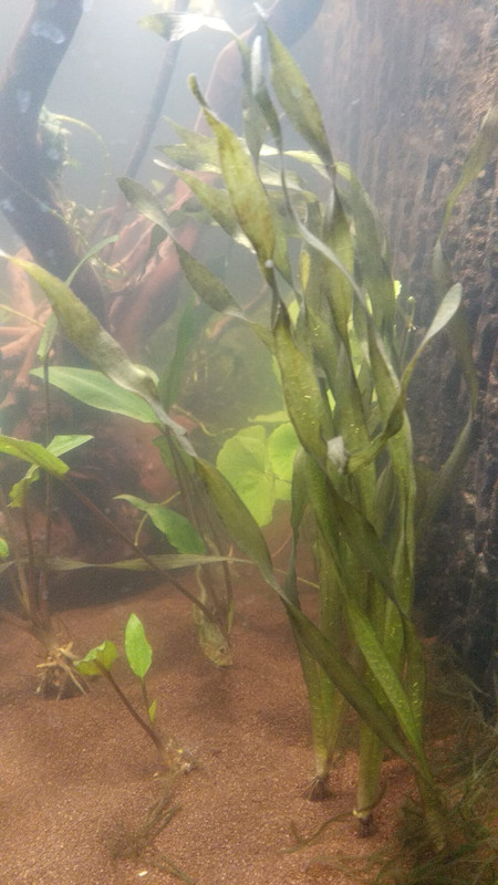 WhatsApp Image 2023-02-22 at 18.18.12