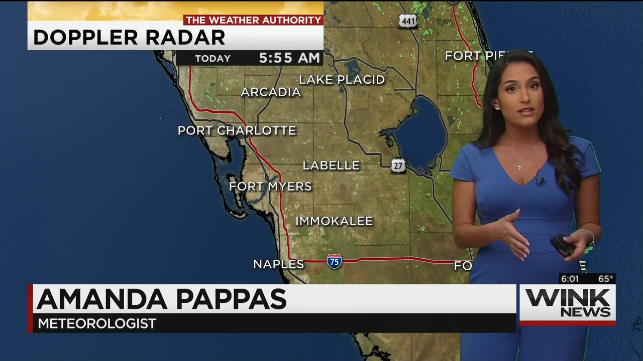 11.28 - 11.00.00 - WINK News This Morning..ts_snapshot_01.49.459