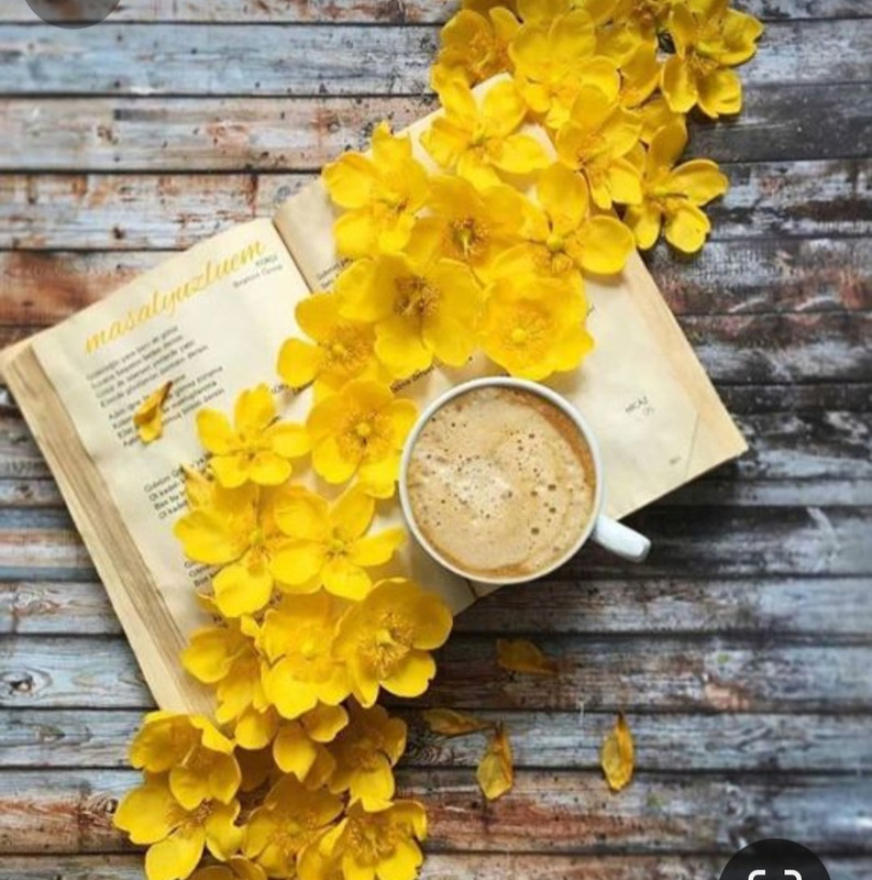 Screenshot_20240203_193425_Pinterest