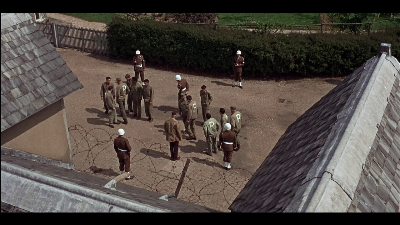 vlcsnap-2023-07-02-15h38m53s241