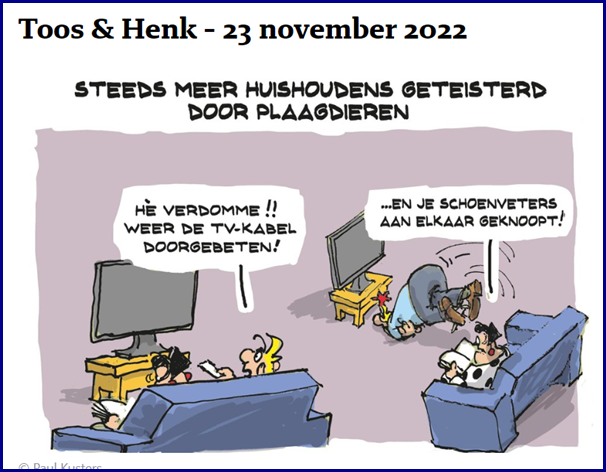 Schermafbeelding-2022-11-23-060242