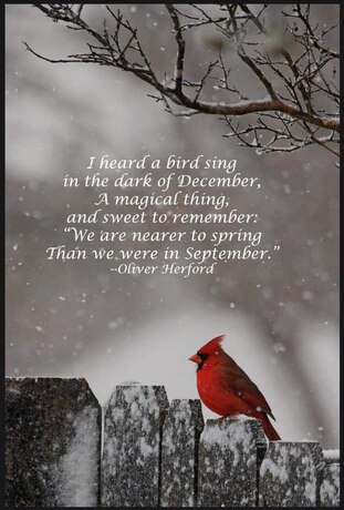 December-Poem