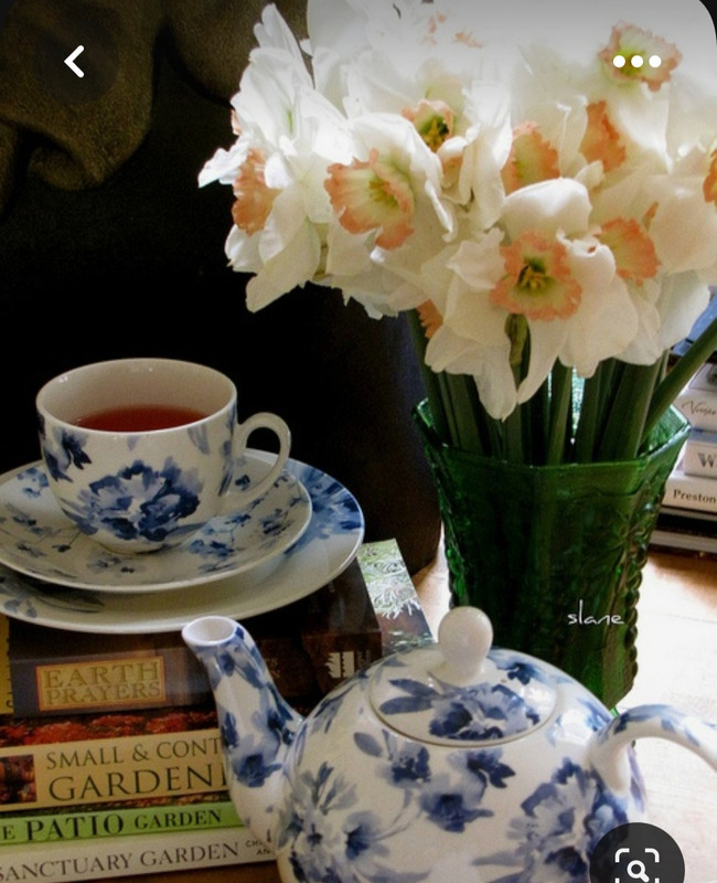 Screenshot_20230616_125104_Pinterest