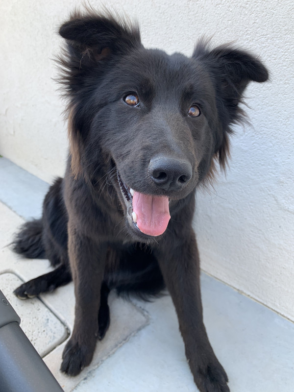 24B2730B-CB90-443A-AD56-9DF7DB74CF86