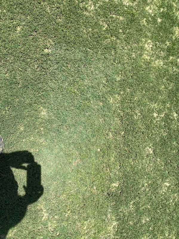 AEC279FD-794B-4C6A-8C68-E07683EBA377