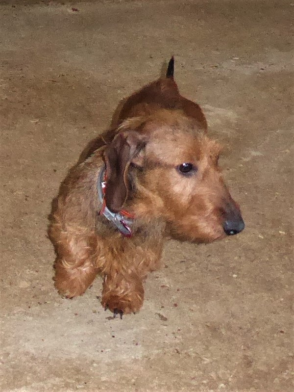 [Image: P1020925.jpg]