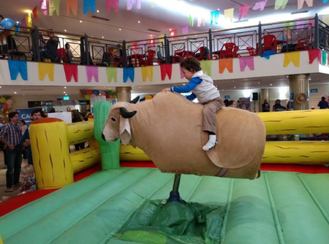 Touro Mecânico Luxo