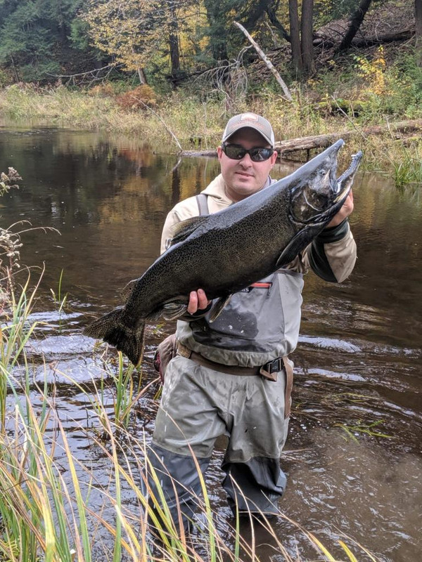 49429579-C21D-41DB-AC40-A29FA53CB70D